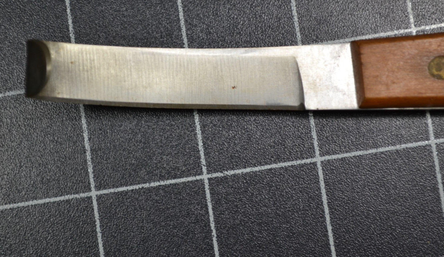 PARTRADE – #24453 – HOOF KNIFE SCRAPPER – RIGHT HAND VERSION – UNUSED