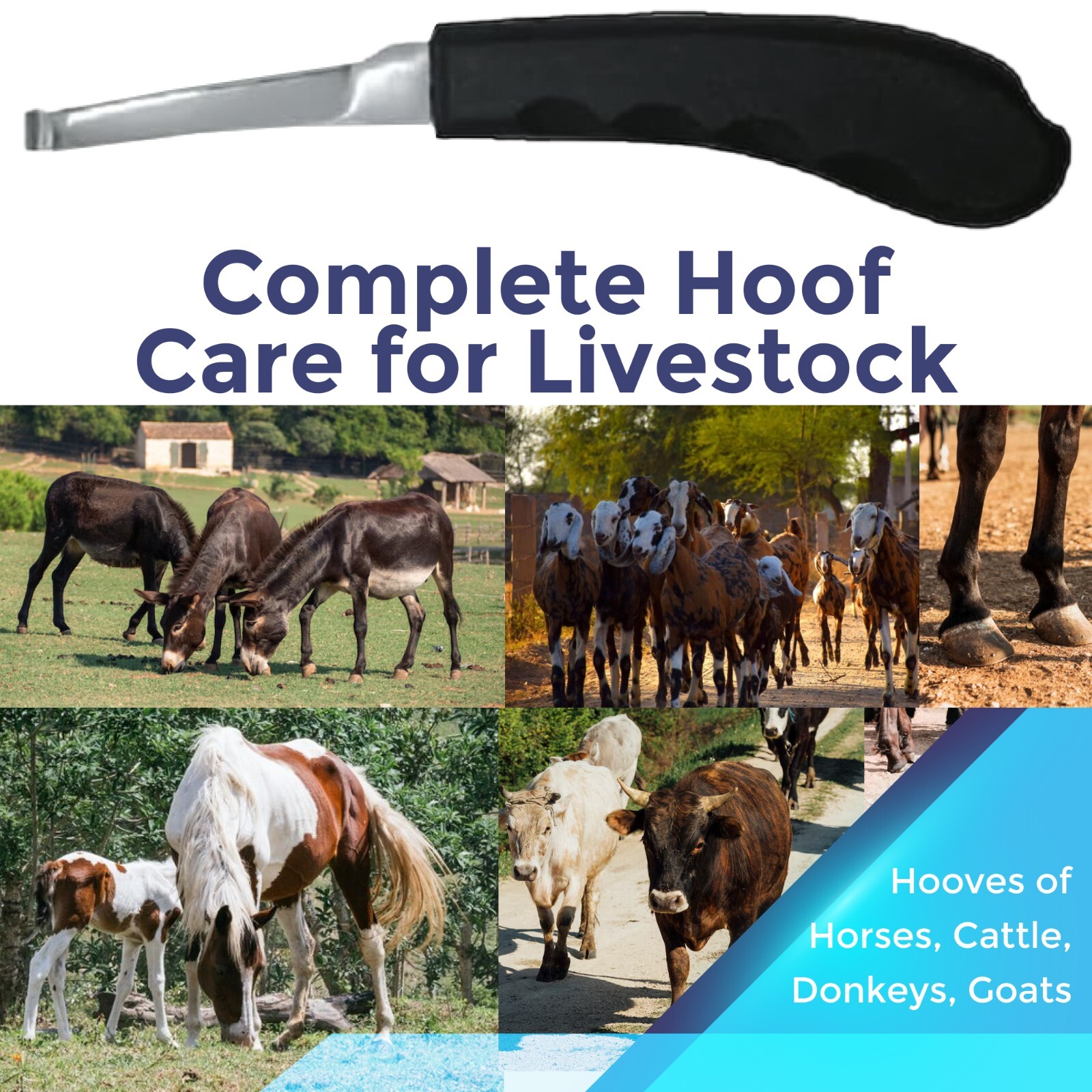 Horse Farrier Tool Hoof Knife Narrow Blade Knife Sharp Edge With Plastic Grip