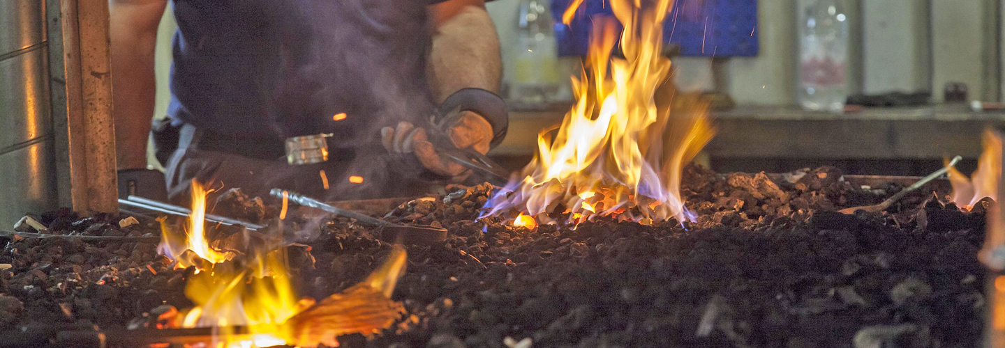 Forge Your Future