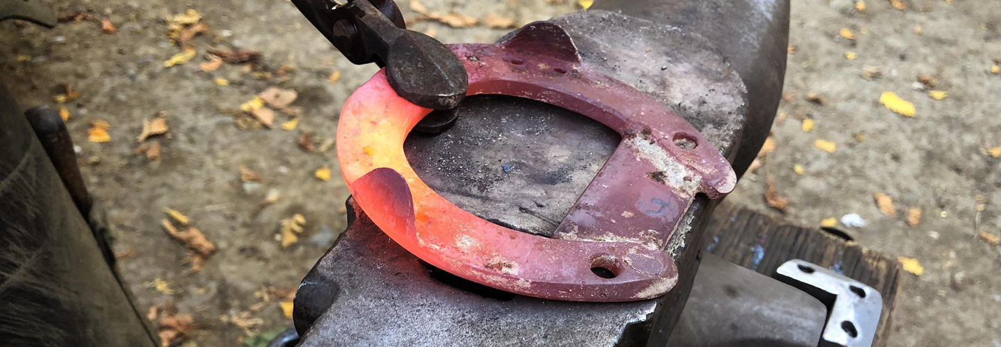 Become A Farrier