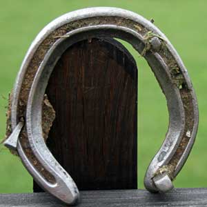 Become a Farrier