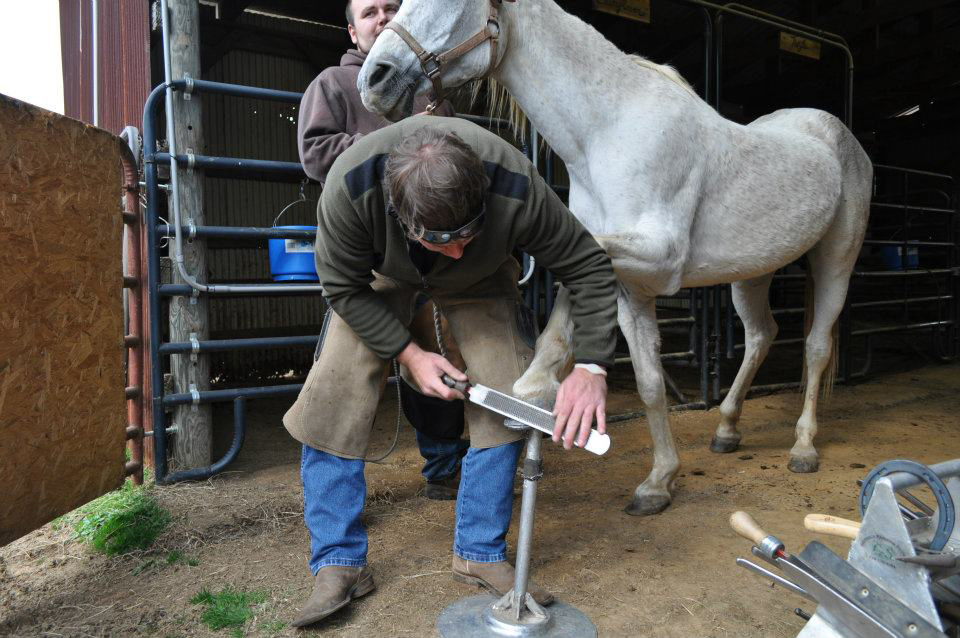 Lookout Mountain School of HorseshoeingShop
