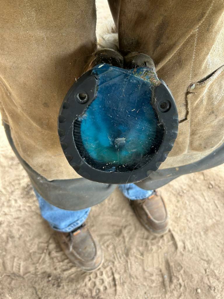 LMSH GLUSHU with Lynne Myers