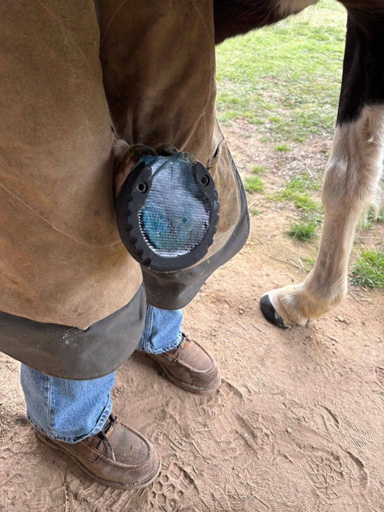 LMSH GLUSHU with Lynne Myers