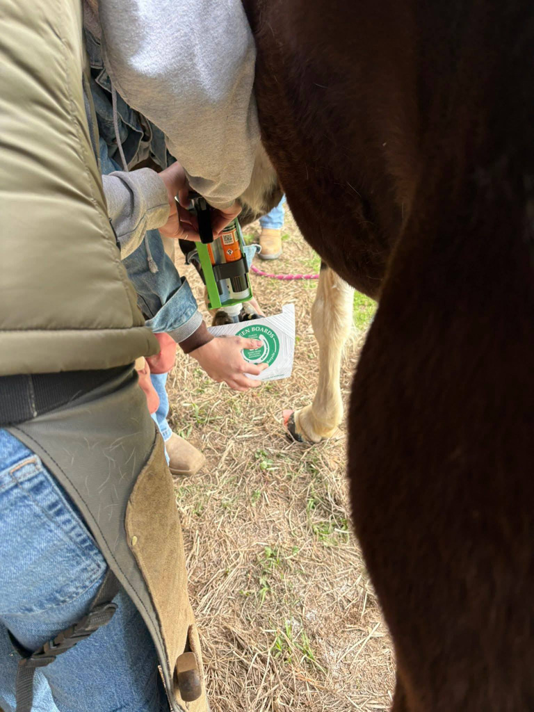 LMSH GLUSHU with Lynne Myers