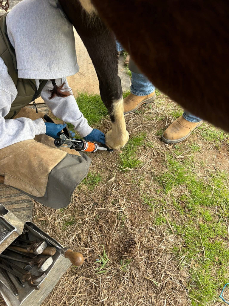 LMSH GLUSHU with Lynne Myers