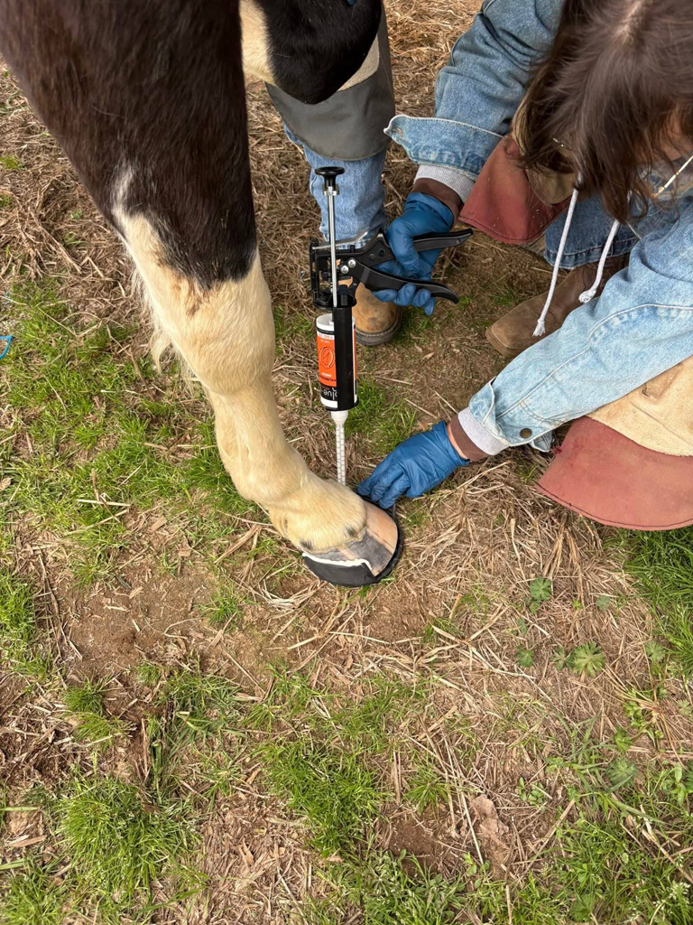 LMSH GLUSHU with Lynne Myers