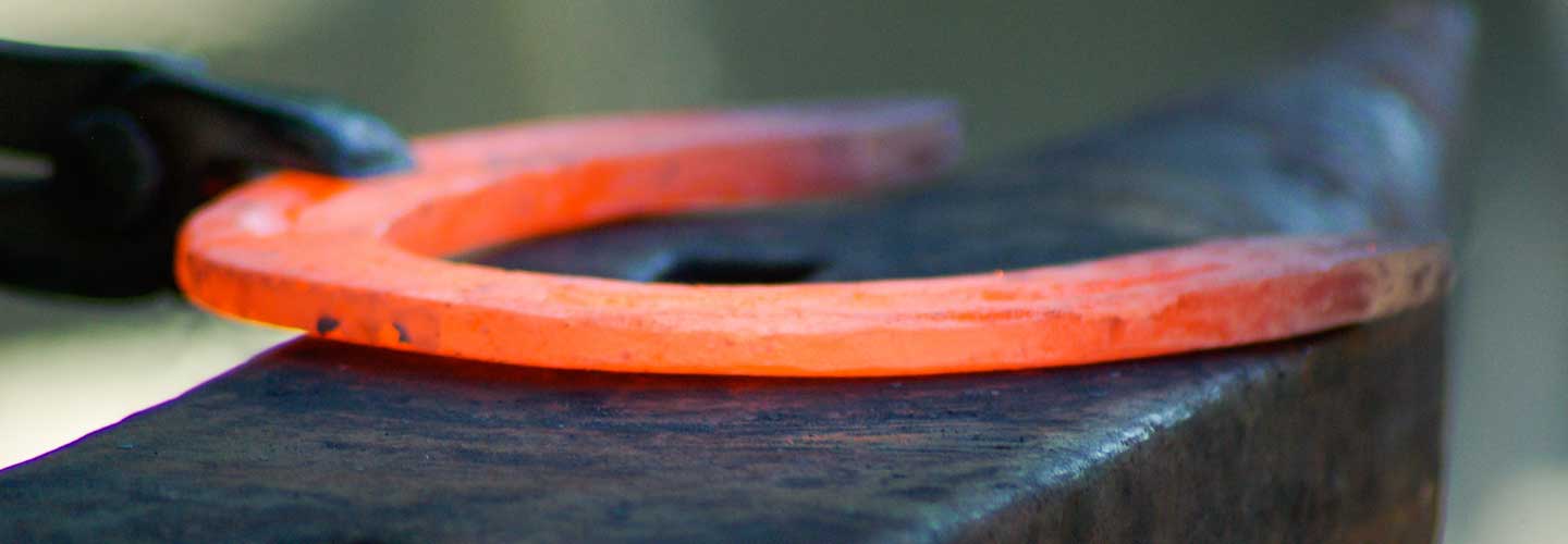 Shoeing Horses for 50+ years